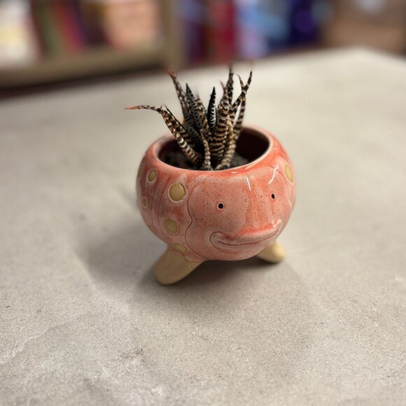 Pink Fish Mini Planter Pot | Tropical Shaped Fish Pot | 5" x 3" - Picture 9 of 11